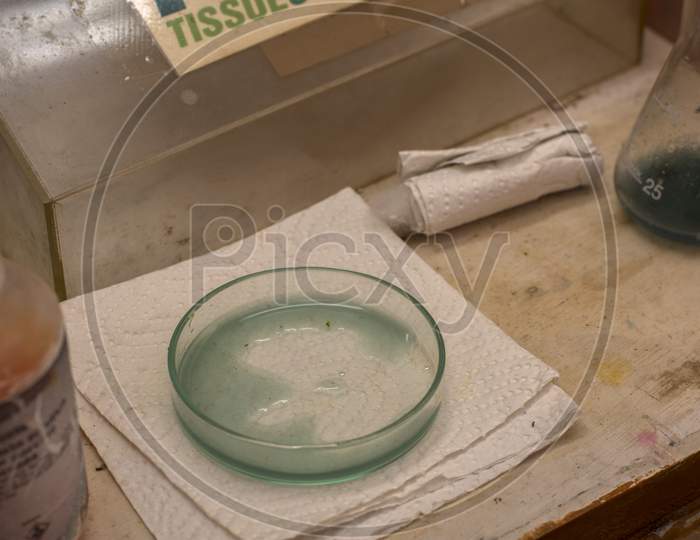 A Small Glass Bowl Full Of Bacteria And Fungus Ready For Test With Selective Focus.