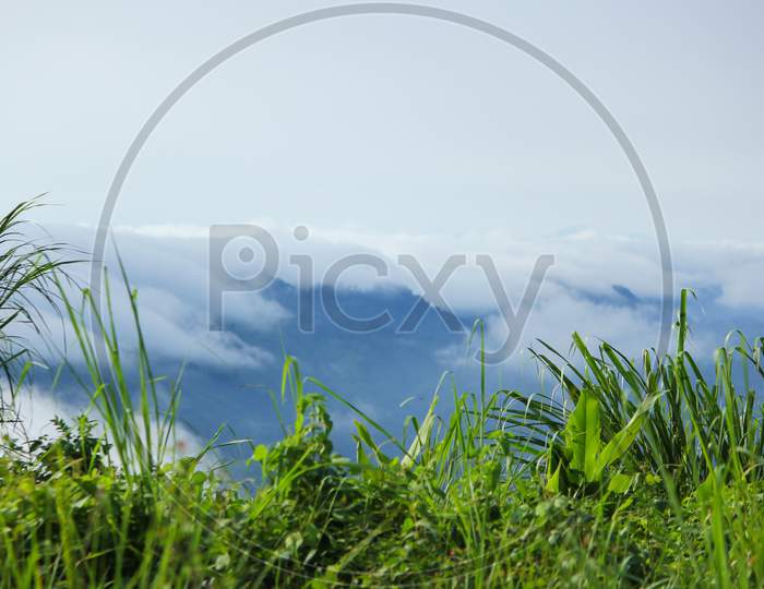 White clouds are floating over top of the green mountain in Sajek, Bangladesh