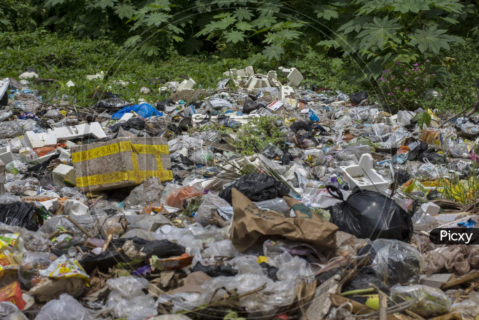 15Th August, 2021, Kolkata, West Bengal, India: Dump Of Garbage At Road Side Polluting Badly.