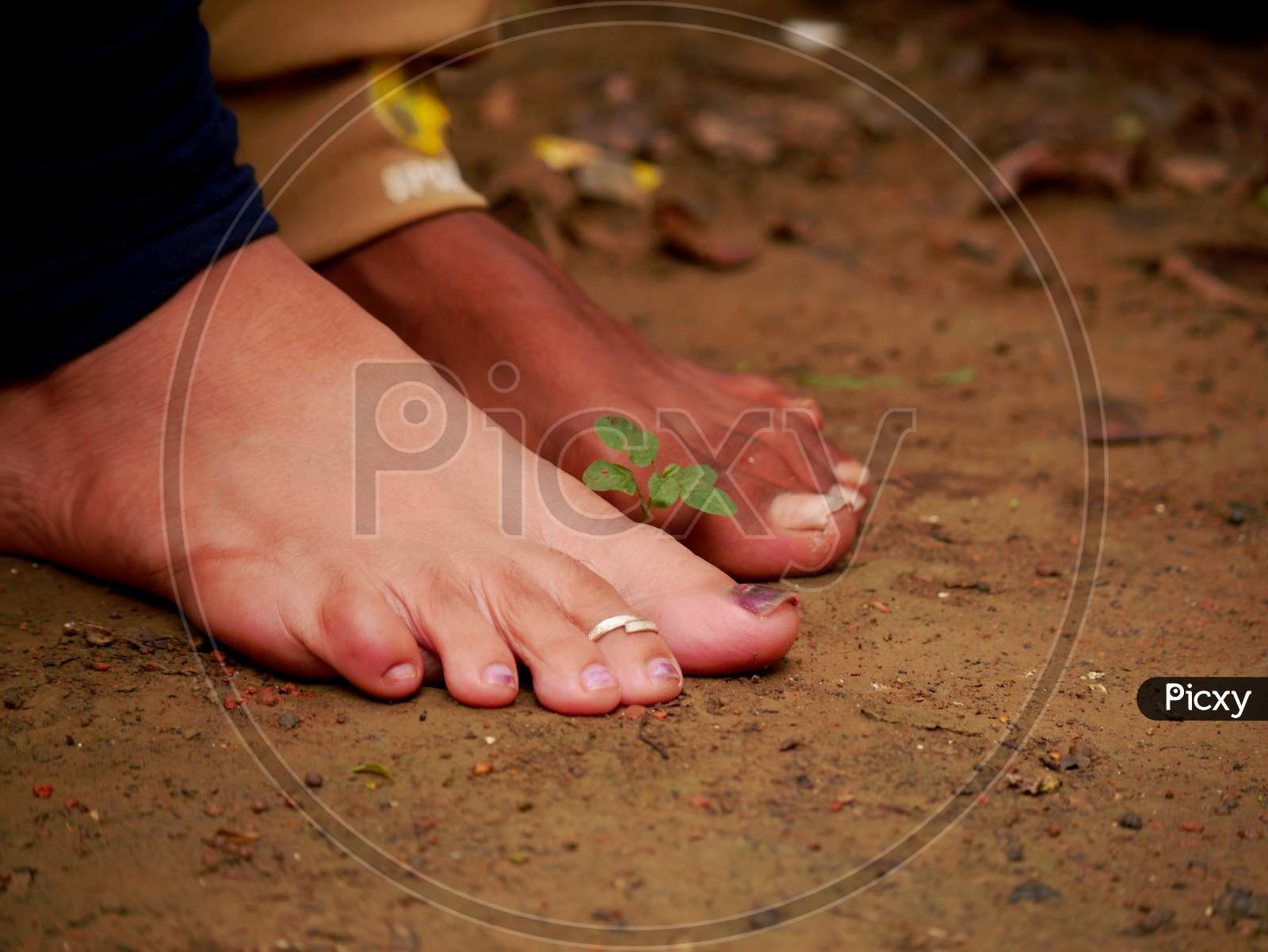 Image of Male Female Feet Presentation On Soil Field, People Relationship  Nature Lifestyle Concept.-AX440438-Picxy