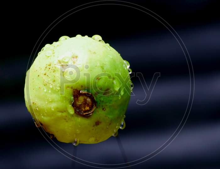 Yellowish Guava On Air Isolated On Dark Background, Organic Commercial Food Image.