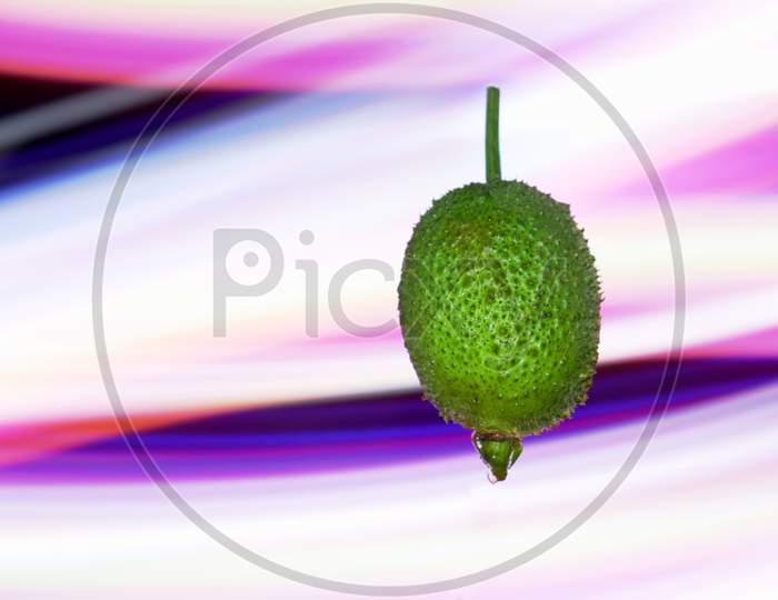 Fresh Organic Pointed Gourd Presented On Air With Light Effect Shine Backdrop, Commercial Nature Food Presentation Image.