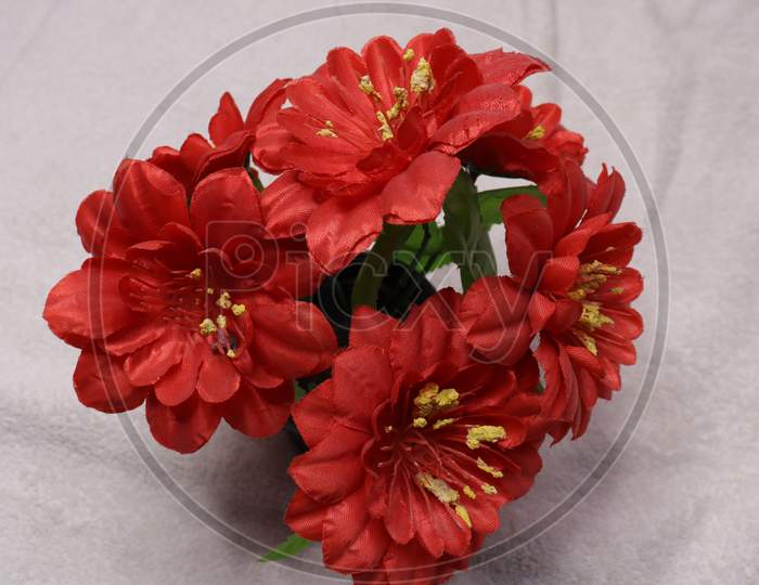 Red Colour Plastic Flower Isolated on White Background