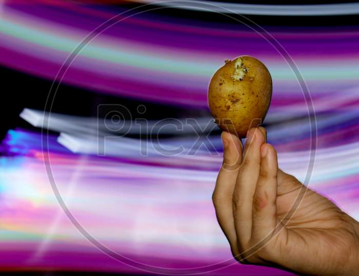 Organic Potato Presented On Girl Hand With Light Effect Shine Backdrop, Commercial Nature Food Presentation Image.