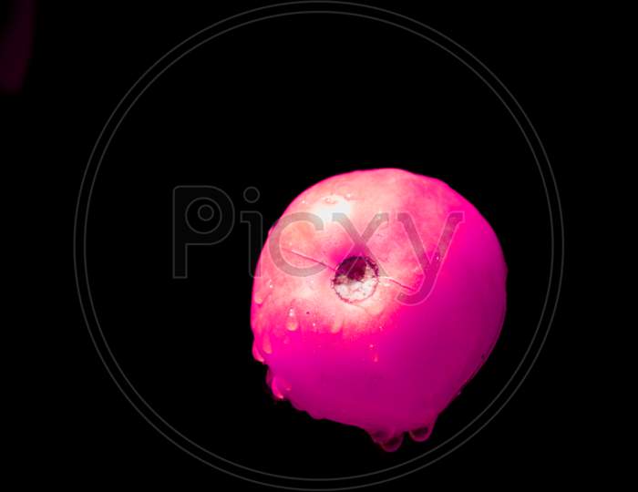 Pink Color Tomato On Air Presented With Water Drops On Black Background, Organic Commercial Food Image.