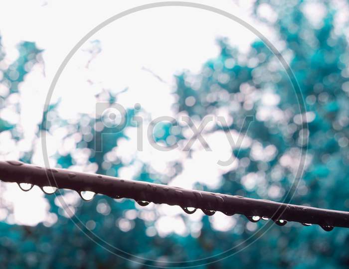 Water Drops Closeup On Electric Wire At Sky Leaves Background On Day Time.