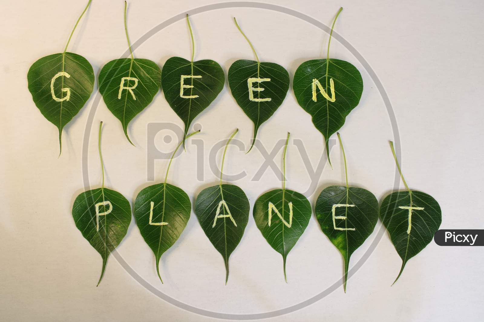 World environment day. World Earth day concept. Handprint as Green leaf Texture Surface. Earth Day and Ecology. Green Energy, Renewable and Sustainable Resources. Environmental and Ecology Care.