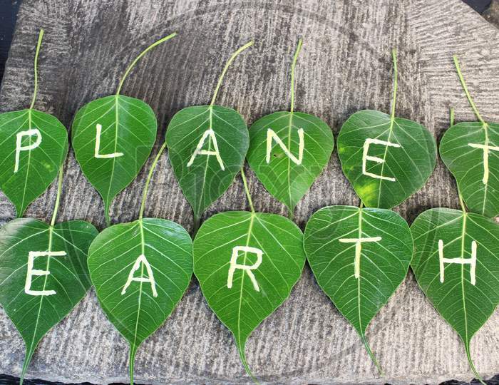 World environment day. World Earth day concept. Handprint as Green leaf Texture Surface. Earth Day and Ecology. Green Energy, Renewable and Sustainable Resources. Environmental and Ecology Care.