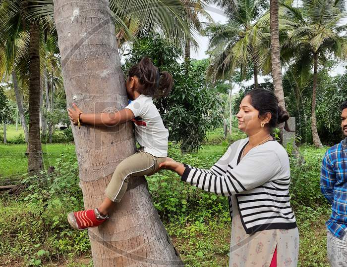 Closeup of Indian Mother and Father helping young Indian Kid to climbing a coconut tree in the farm