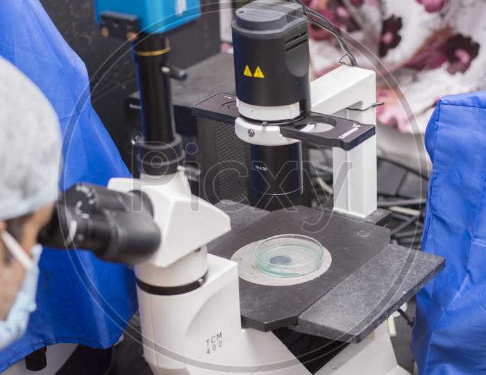 18Th August, 2021, Kolkata, West Bengal,India: A Male Scientist Looking Through Microscope Testing A Bacteria Fungus For Medicine.