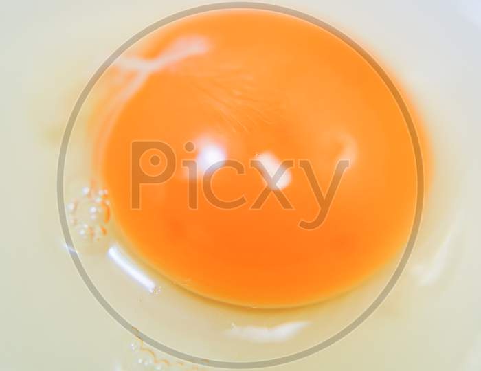 Macro Photography Of Egg Yolk