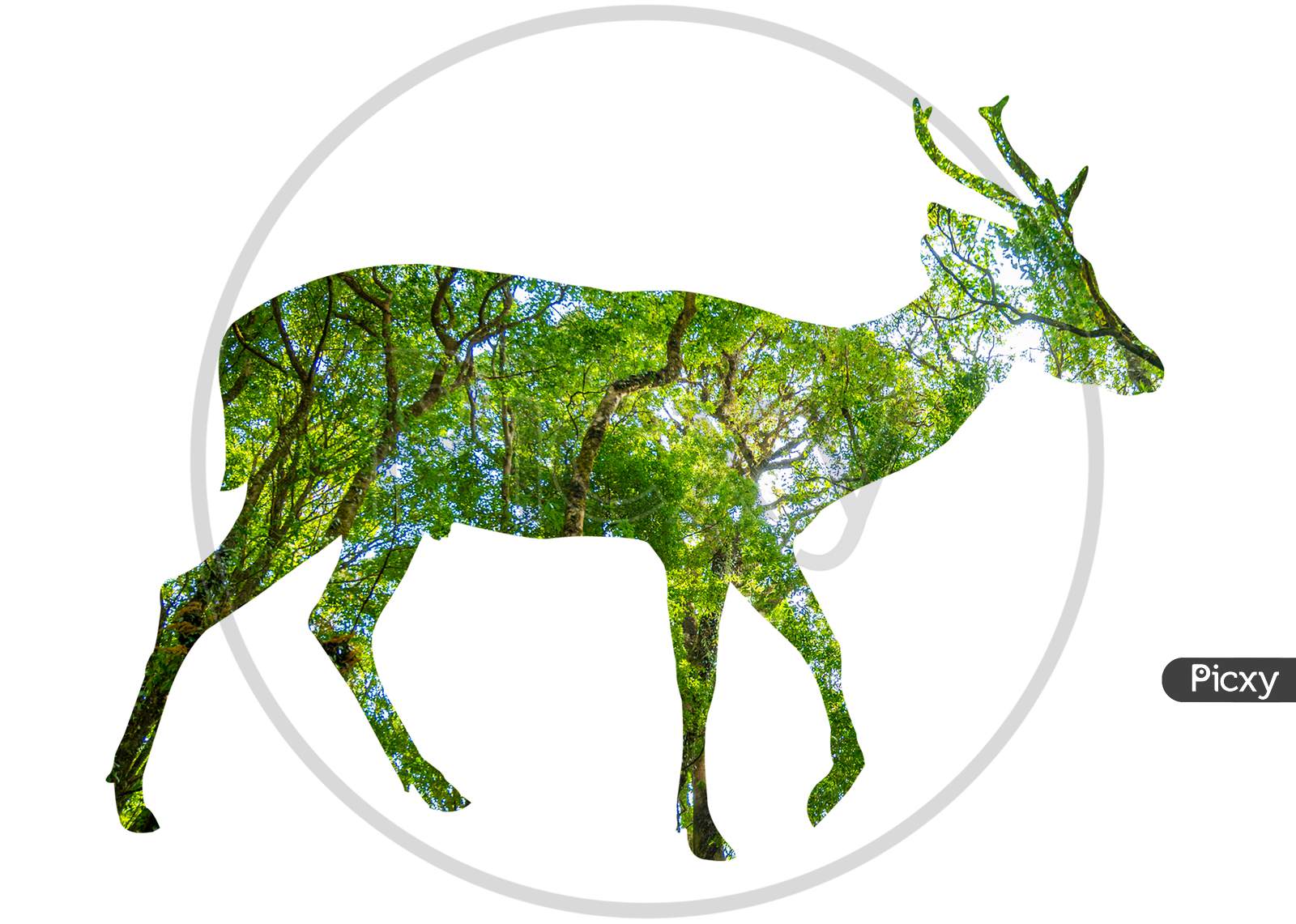 World Wildlife Day Forest Silhouette In The Shape Of A Wild Animal Wildlife And Forest Conservation Concept
