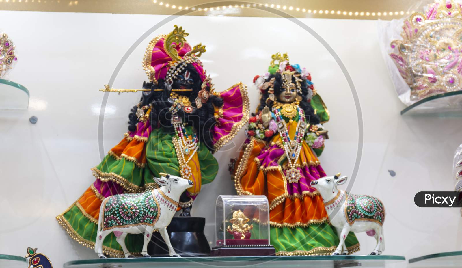 Krishna Janmashtami celebration