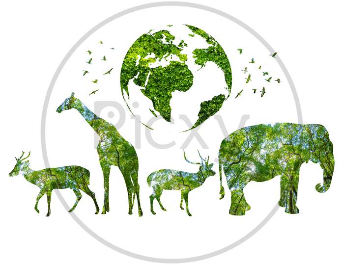 World Wildlife Day Forest Silhouette In The Shape Of A Wild Animal Wildlife And Forest Conservation Concept