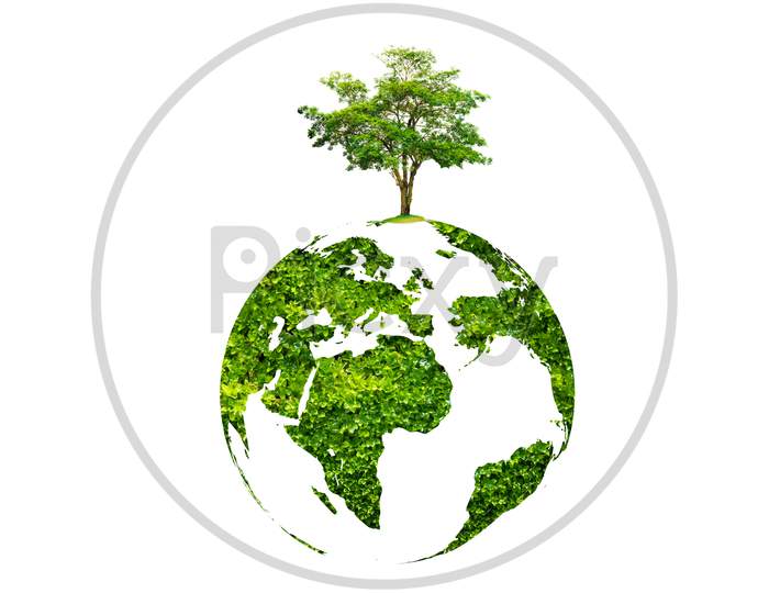 Earth Day Tree On Green Earth On White Isolate Background