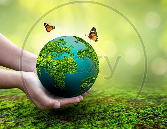 Concept Save The World Save Environment The World Is In The Grass Of The Green Bokeh Background