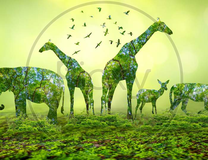 Forest Silhouette In The Shape Of A Wild Animal Wildlife And Forest Conservation Concept