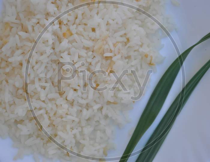 Close-up of rice on white plate
