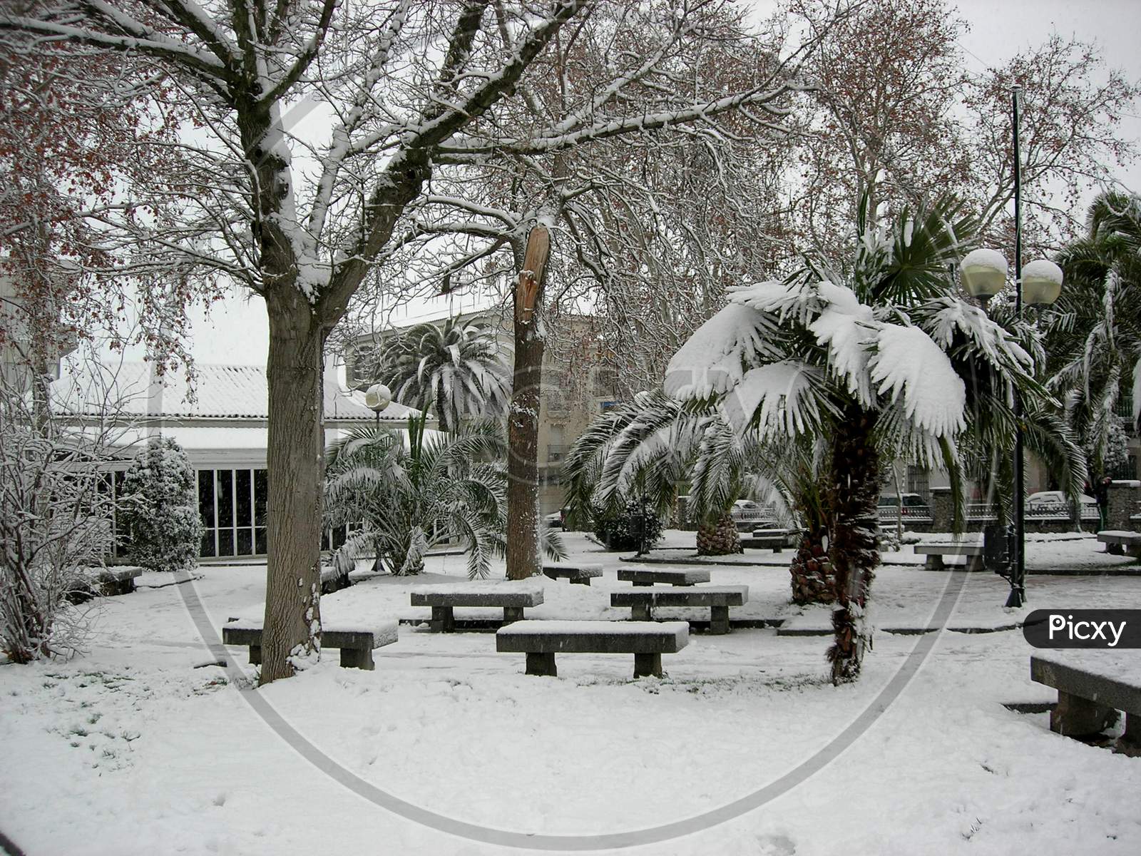 Snow In The Village Park