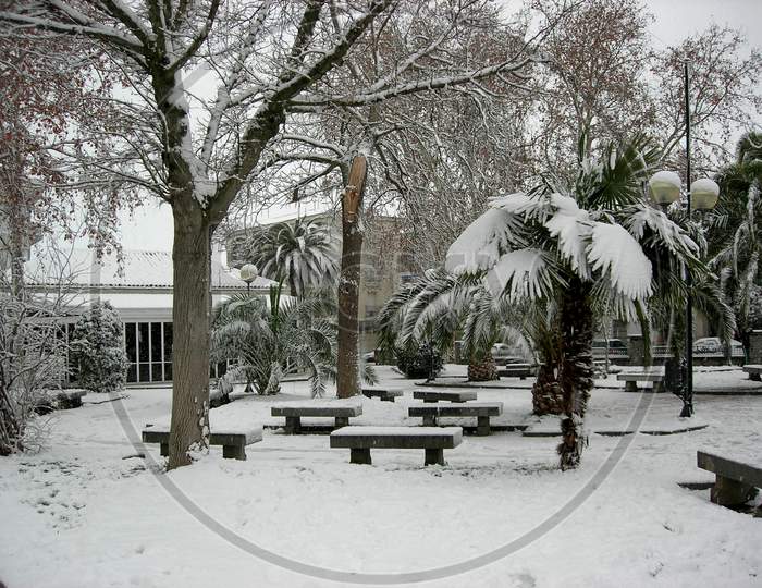 Snow In The Village Park