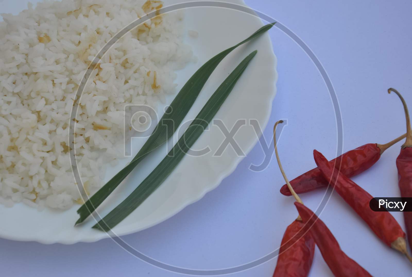Closeup shot of rice in white plate with red chilli peppers isolated over white background