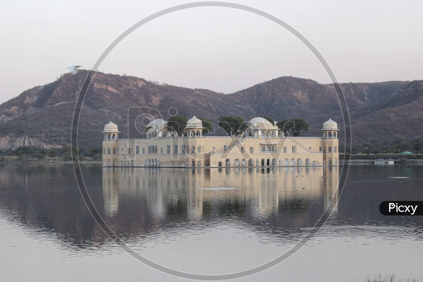 Jal Mahal With Reflections Of Mountain