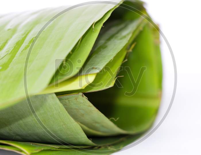 Banana Leaf Or Vazhayila In White Background. Normally Using In Kerala Eat Meals Or Sadhya During Onam Celebration. Selective Focus