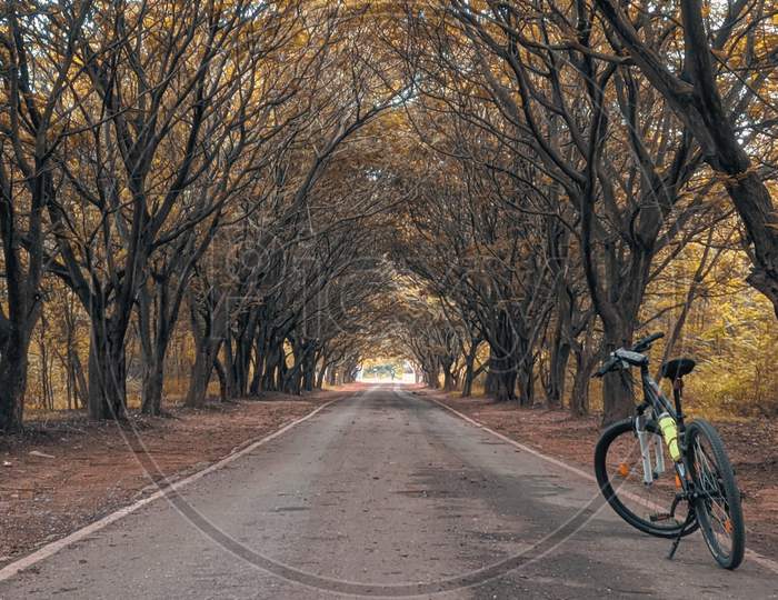 Cycling in bangalore