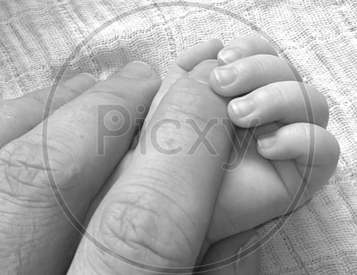 Father Hand In Small Baby'S Hand