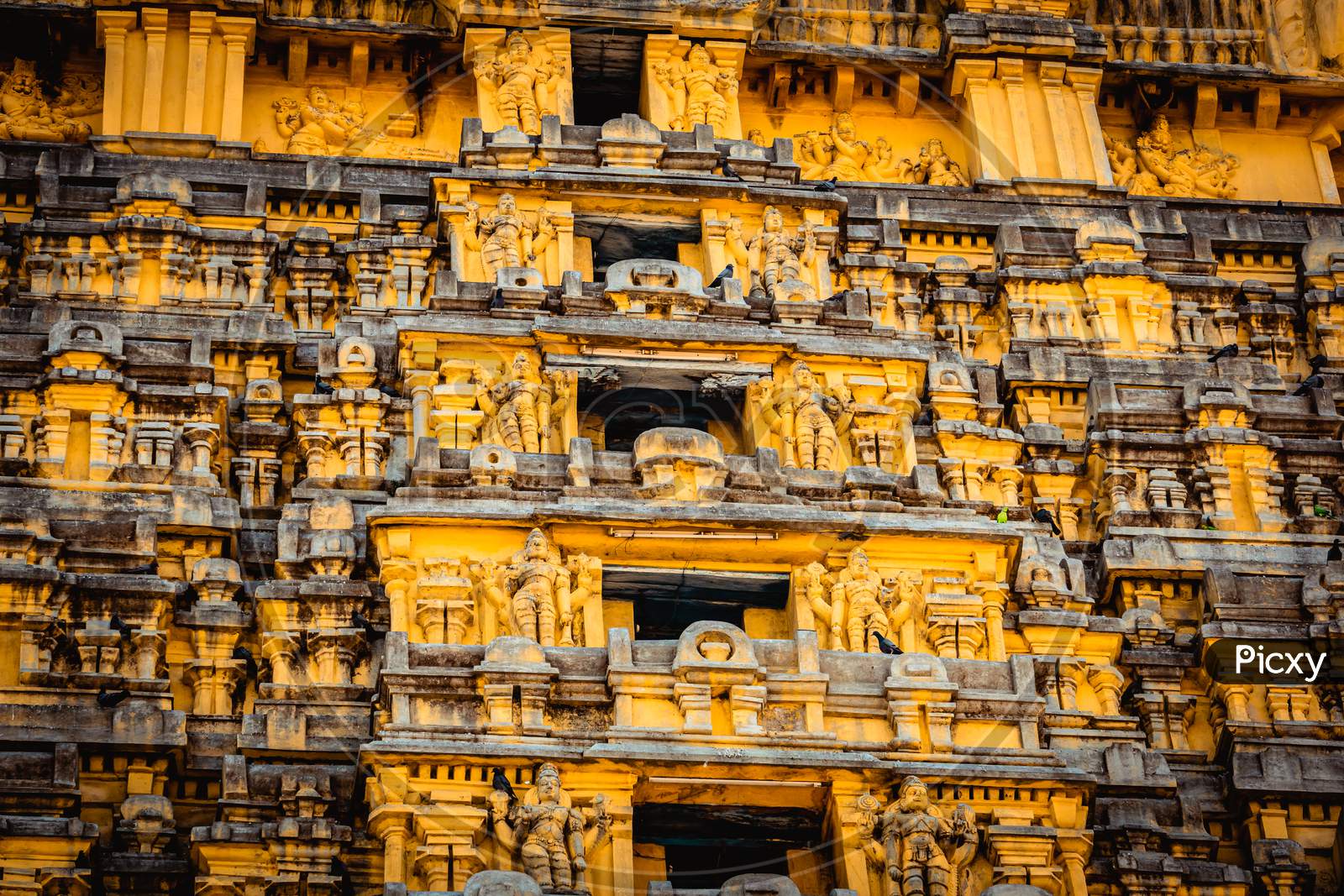 Entrance tower ( Gopuram) of Varadharaja Perumal Temple and Lord Atthi Varadar Perumal god statue inside the pond, Kanchipuram, Tamil Nadu, South India - Religion and Worship scenario image