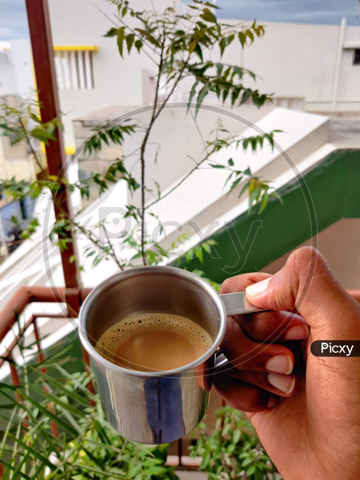 Hand Of Young Boy Holding A Silver Cup Filled With Coffee On Neem Trees Background. Evening Vibes