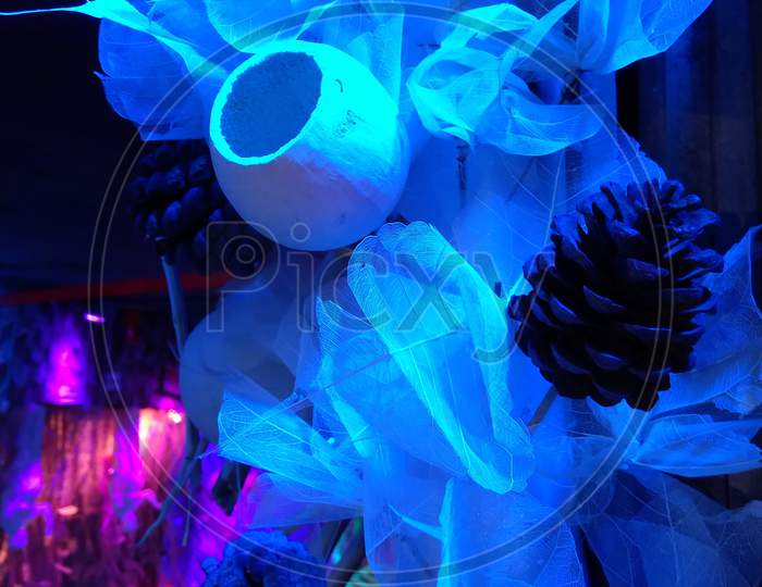 A very beautiful art made using empty coconut cases and Pain Fruites and the blue light makes it more beautiful,  West Bengal, India