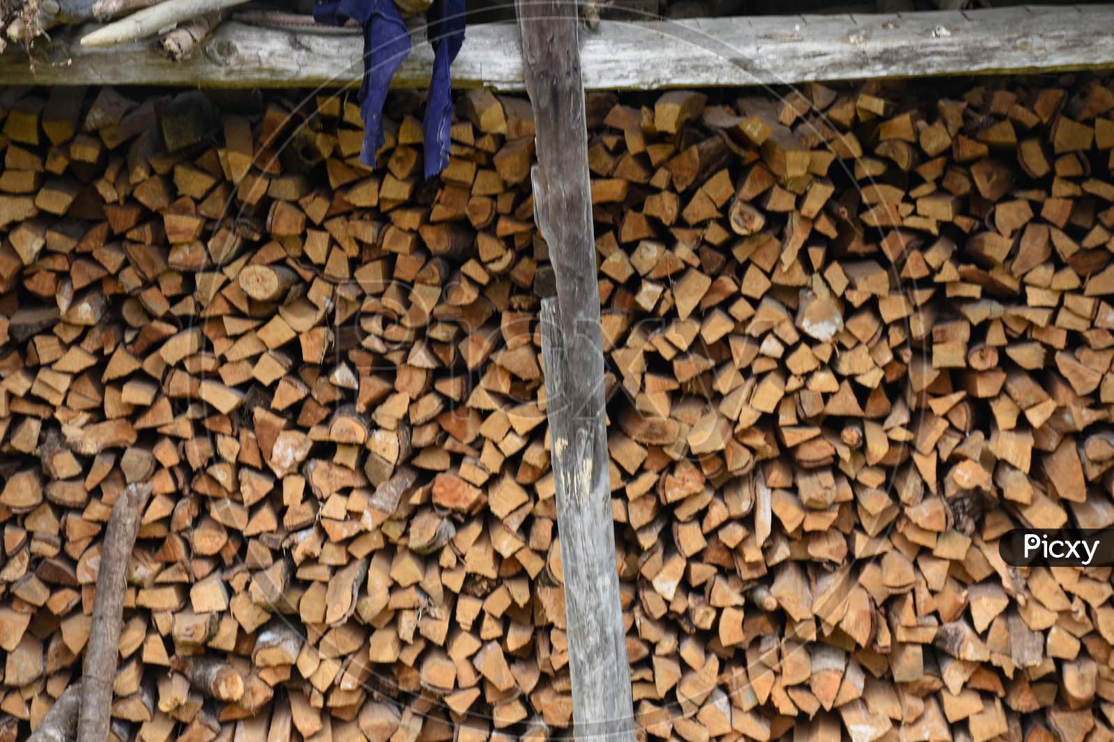 Seasoned Firewood Storage With Metal Roof.