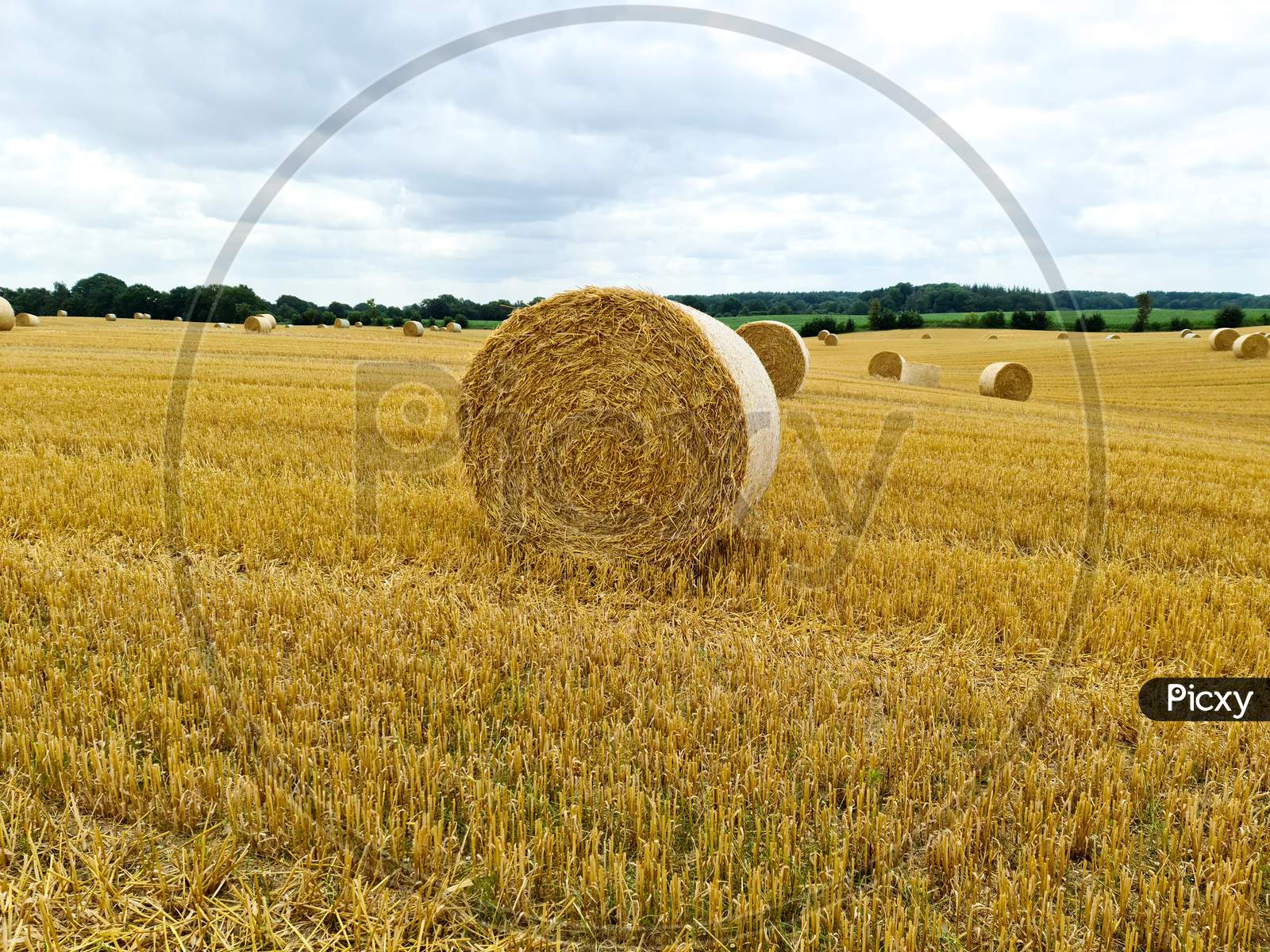 Summer View On An Agricultural Wheat Field With Straw Bales Been Harvested