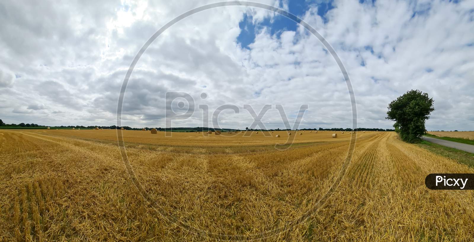 Summer View On An Agricultural Wheat Field With Straw Bales Been Harvested