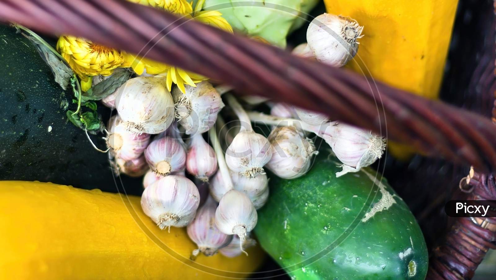 Close Up Of A Bunch Of Garlic And Cucumber With Other Vegetables In A Basket. Gardening And Vegetables Collection Concept