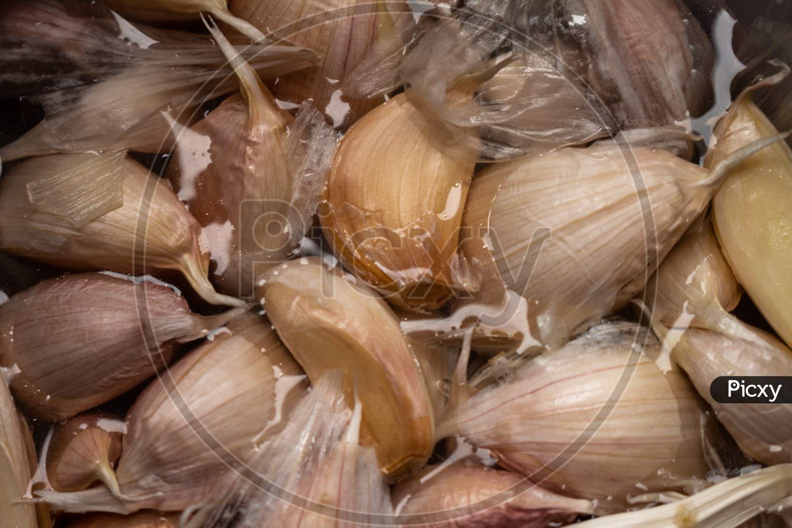 Garlic Cloves Soaked In Water. Seasoning Of Vegetable Origin For Food.