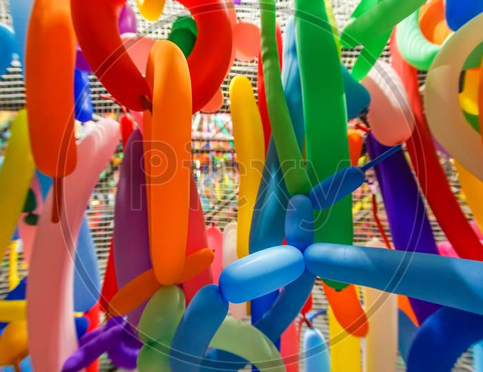 Colorful Long-Sliced ​​Balloons Image
