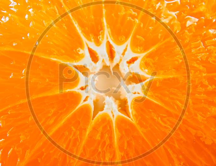 Image Of Orange Macro Photography