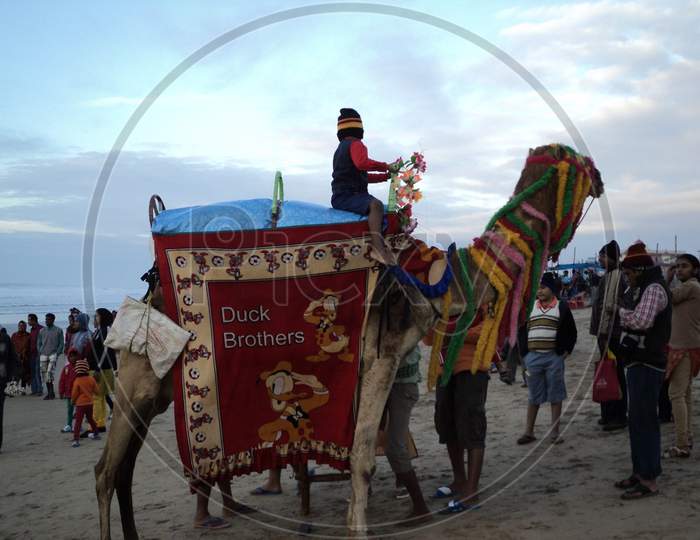 Camel Ride at Puri Sea Beach.Its a Editorial Photo don't use it as a commercial photo.