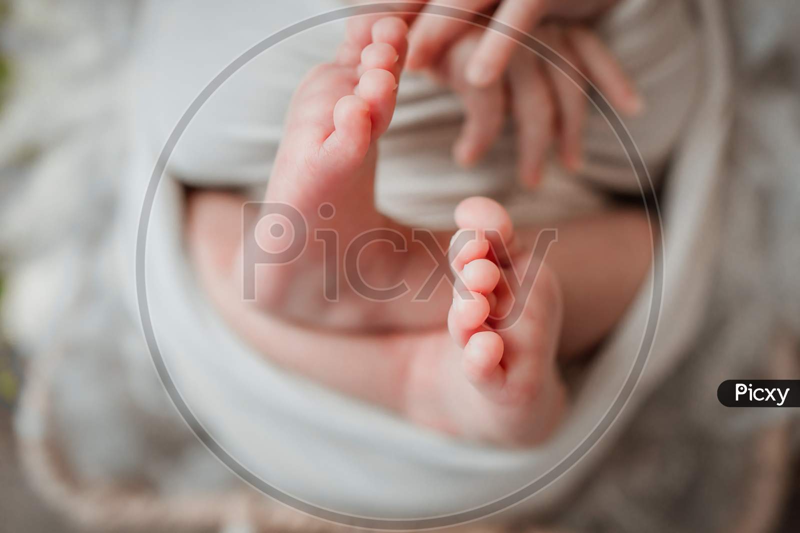 Portraits Of Beautiful Hands And Feet Of A Child