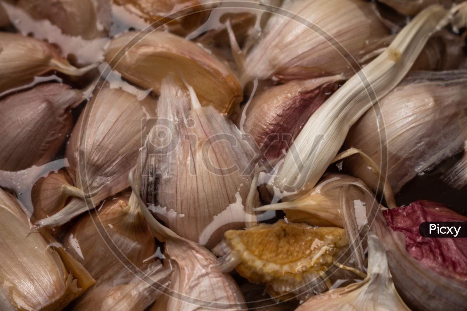 Close-Up Of Garlic Cloves Dipped In Water. Seasoning Of Vegetable Origin. Food For Vegans