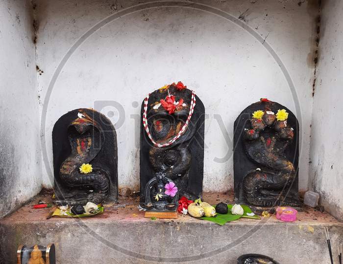 Beautiful Black Color Stone Snake Statue Decorated With Flower During Festival