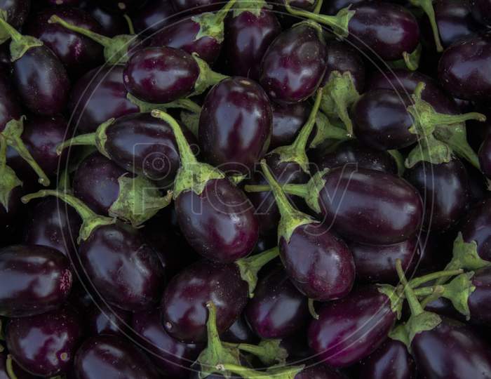 Selective focus on BRINJAL in the market.