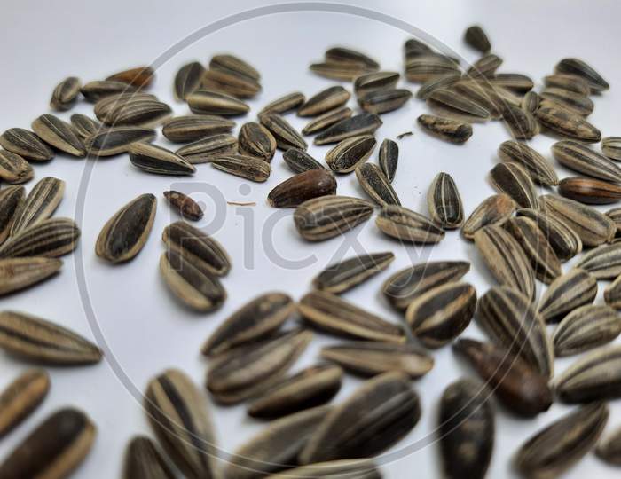 Pile And Heap Of A Black Color Sunflower Seeds With Shell Texture Isolated On White Background