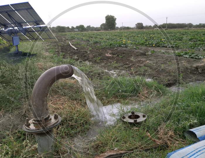 Irrigated In Green Vegetable Field By Water Jet, Technical Irrigation.