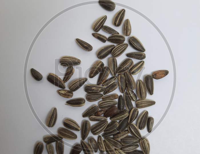 Pile And Heap Of A Black Color Sunflower Seeds With Shell Texture Isolated On White Background
