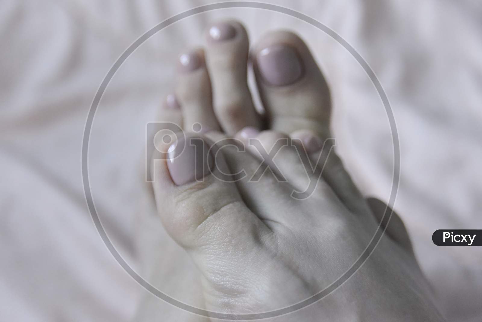Selective Focus At Female Toes With Fresh Pedicure