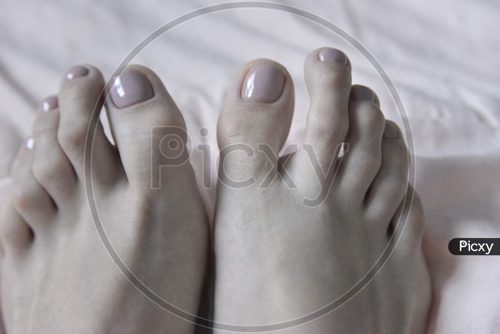 Selective Focus At Female Toes With Fresh Pedicure
