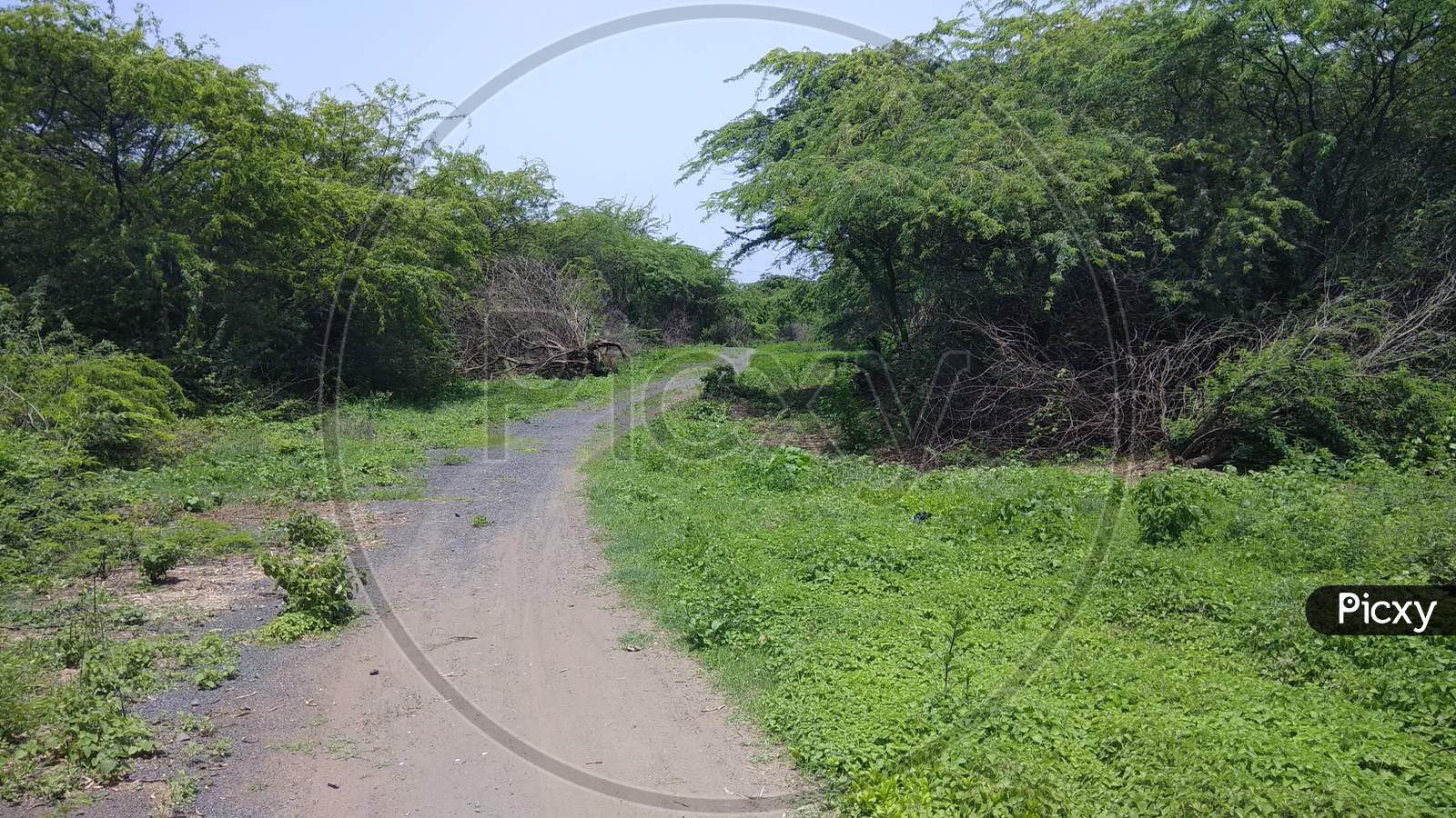 Image of PORT AND NECHARHJ070765Picxy